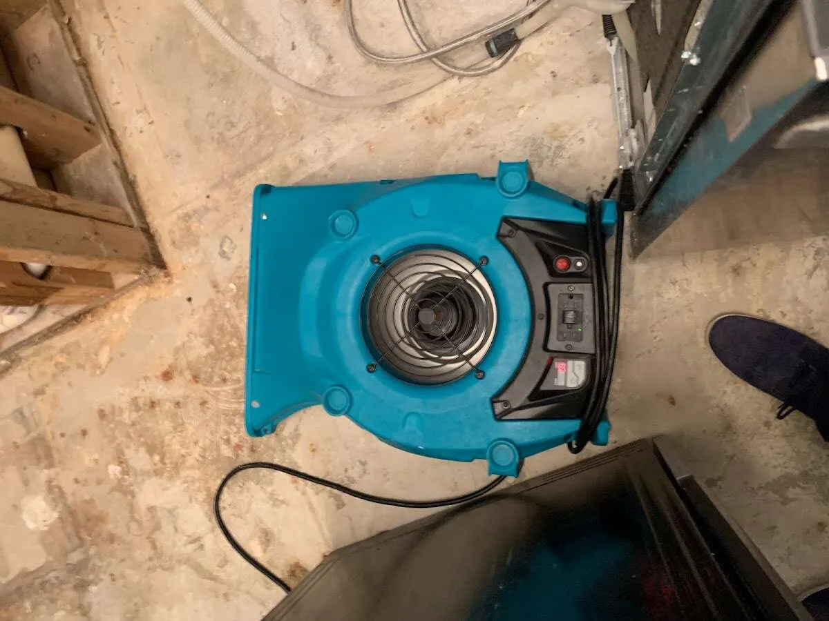 Air mover drying equipment for Mold Remediation & Removal in Delran